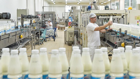 شیرهای پاستوریزه و استریلیزه فاقد مواد نگهدارنده هستند