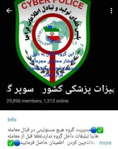 بیش از ۱۲۰۰ دامنه عرضهکننده فرآوردههای سلامتمحور در فضای مجازی شناسایی شد