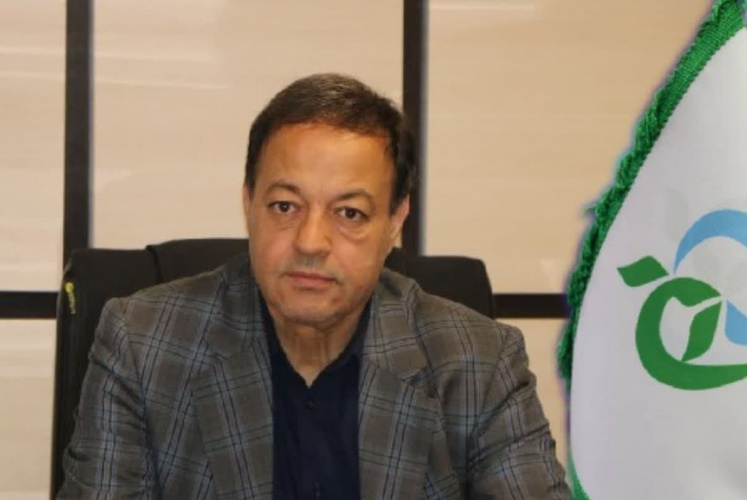 حمایت از تولید داخلی، راهبردی برای افزایش تابآوری نظام دارویی