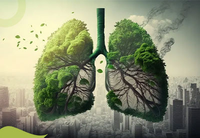 برای کاهش اثر آلودگی هوا چه باید کرد؟