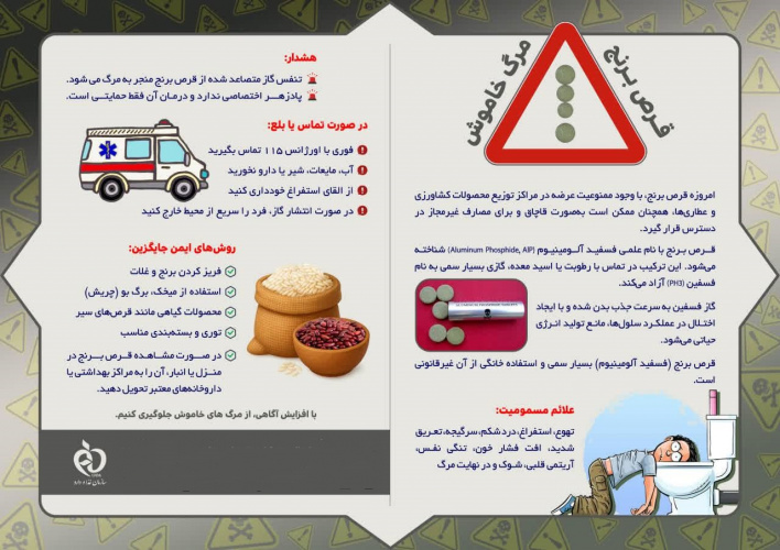 مرگ خاموش با قرص برنج؛ نگاهی علمی به یکی از خطرناک‌ترین سموم