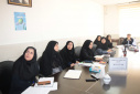 برگزاری کمیته استانی بررسی مرگ کودکان ۱ تا ۵۹ ماهه با تأکید بر نقش ماماها در مراقبت‌های دوران بارداری