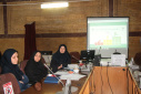 برگزاری کارگاه «چالشهای مراقبت نوزادی» با محوریت ارتقای مهارت پزشکان مراکز جامع سلامت
