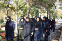 برگزاری برنامه پیادهروی بانوان مرکز بهداشت استان در چارچوب هفته ملی سلامت بانوان