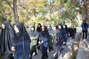 برگزاری برنامه پیادهروی بانوان مرکز بهداشت استان در چارچوب هفته ملی سلامت بانوان