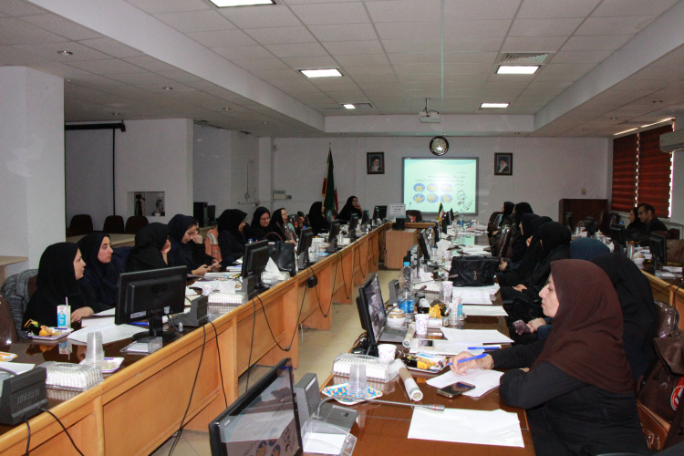 کارگاه مشاوره برای تغییر رفتار ، سالن جلسات مرکز بهداشت استان مرکزی ، ۳۰ بهمن ماه