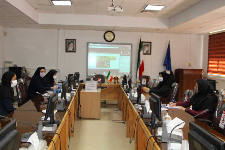 برگزاری وبینار کشوری هفته ایمنی را ه ها، سالن جلسات مرکز بهداشت استان مرکزی، ۲۹ اردیبهشت ماه