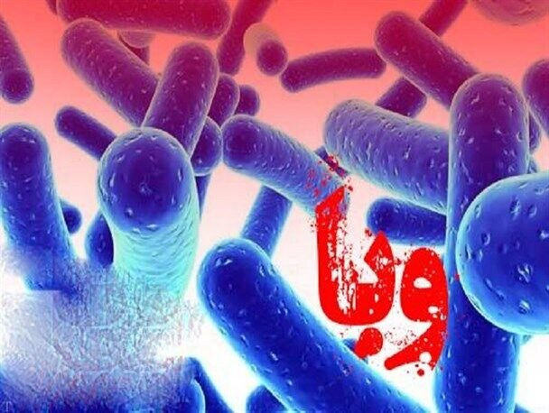 بیماری وبا ، عفونت اسهالی حاد است که به دنبال خوردن آب یا غذای آلوده به باکتری ویبریوکلرا ایجاد می شود.