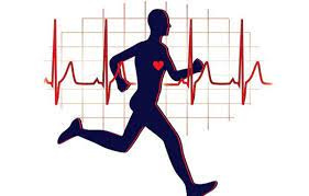 تمرینات ورزشی نرم برای افزایش ضربان قلب+ فیلم