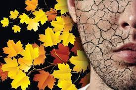 فصل پاییز و علل خشکی پوست+ فیلم