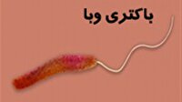 لزوم رعایت بهداشت برای پیشگیری از شیوع بیماری وبا