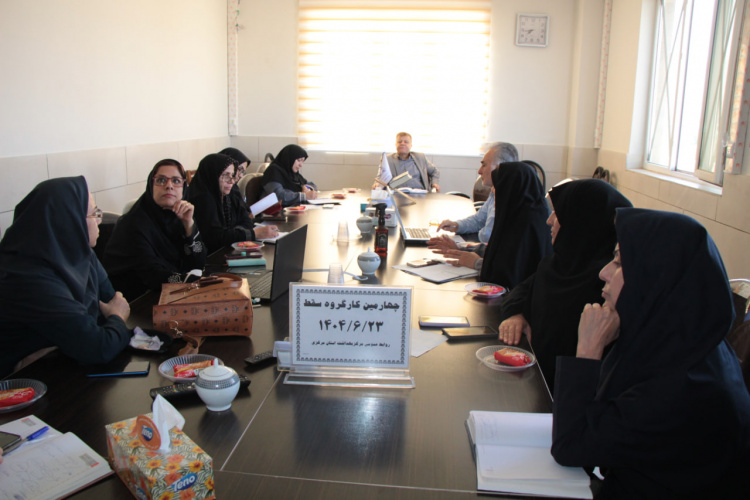 چهارمین کارگروه پیشگیری و کنترل سقط در استان مرکزی برگزار شد؛ بررسی آمار، علل و مراقبت‌های مامایی