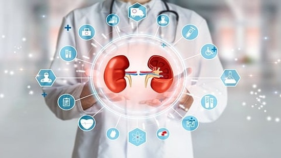 مصرف مرکبات می‌تواند به کاهش یا جلوگیری از تشکیل سنگ کلیه کمک کند