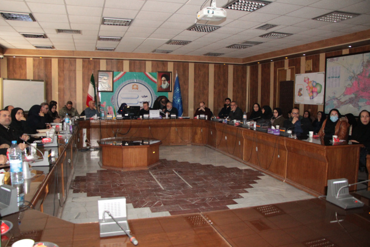 برگزاری جلسه پایش شاخص‌های برنامه‌های حوزه بهداشت، گروه جوانی جمعیت، سلامت خانواده و مدارس در دانشگاه علوم پزشکی اراک