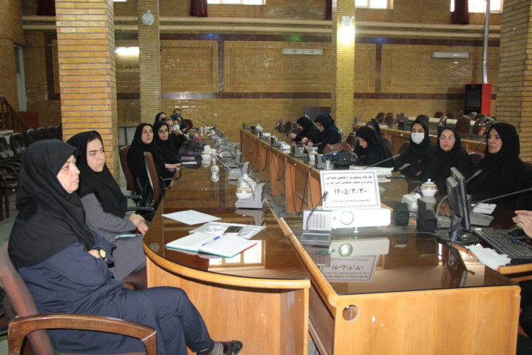 برگزاری کارگاه تخصصی مراقبت از سلامت گوش و پیشگیری از کاهش شنوایی در نوجوانان
