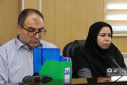 برگزاری هفتمین نشست ستاد اجرایی کشوری برنامه پزشکی خانواده و نظام ارجاع