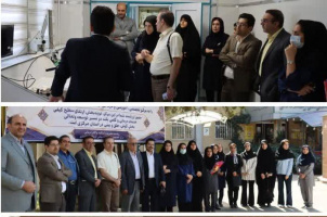 بررسی ظرفیت‌های دانشگاه علوم پزشکی اراک برای راه‌اندازی دستیاری گوش، گلو، بینی و جراحی سر و گردن