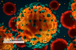 شناسایی ۵۴ مورد مبتلا به کروناویروس در آخرین نتایج آزمایشگاهی در استان مرکزی