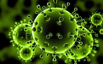 ۴ مورد فوتی و شناسایی ۱۳۱ مورد مبتلا به کروناویروس در آخرین نتایج آزمایشگاهی در استان مرکزی