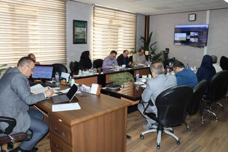 حضور رئیس‌جمهور در نشست مجازی رؤسای دانشگاه‌های علوم پزشکی کشور