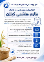 آغاز فروش برنج مرغوب و درجه یک طارم هاشمی - مردادماه 1405