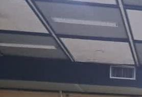 جشن بزرگ شکوفه ها