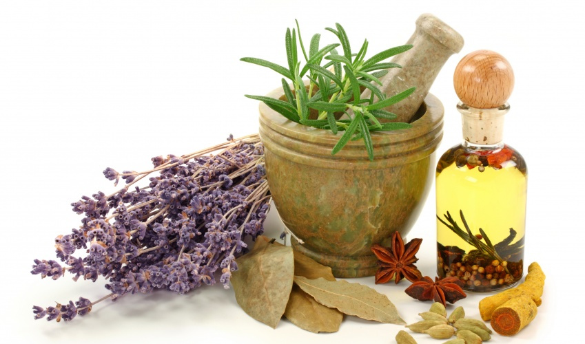 The consumption of medicinal plants has tripled since 2000\ 32 countries in the world have traditional medicine colleges